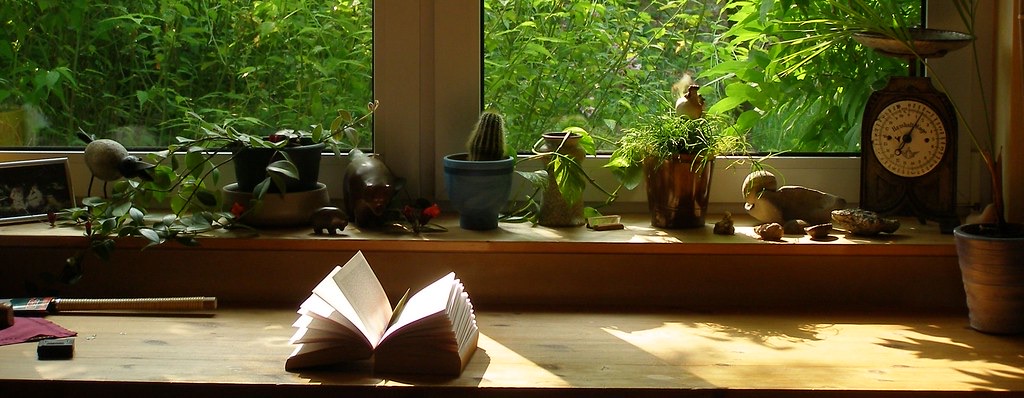 Shade, and a book