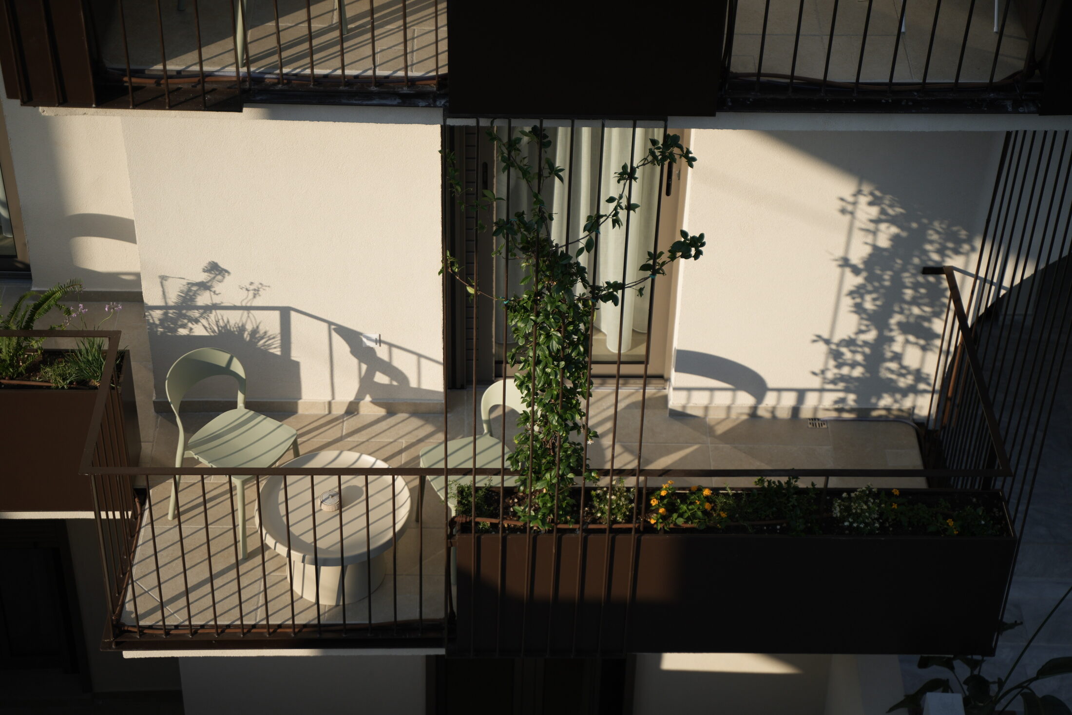 A day in the room — tall doors, bougainvillea